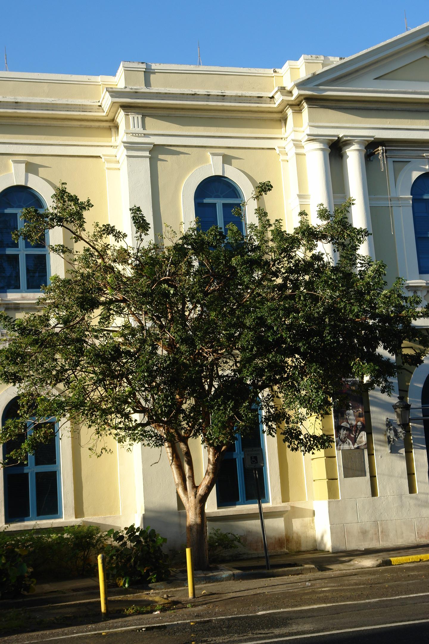 Archivo General - Antiguo Hospital Civil - San Juan (Puerta de Tierra) - 2011 00010